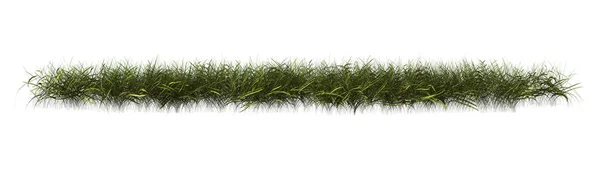 3D Rendering Patch di erba su bianco — Foto Stock