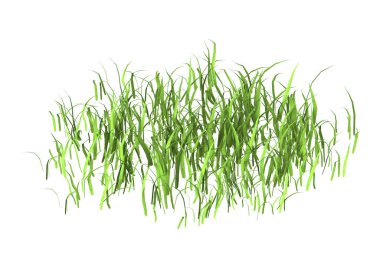Çimenlerin üzerinde beyaz bir 3D render yama
