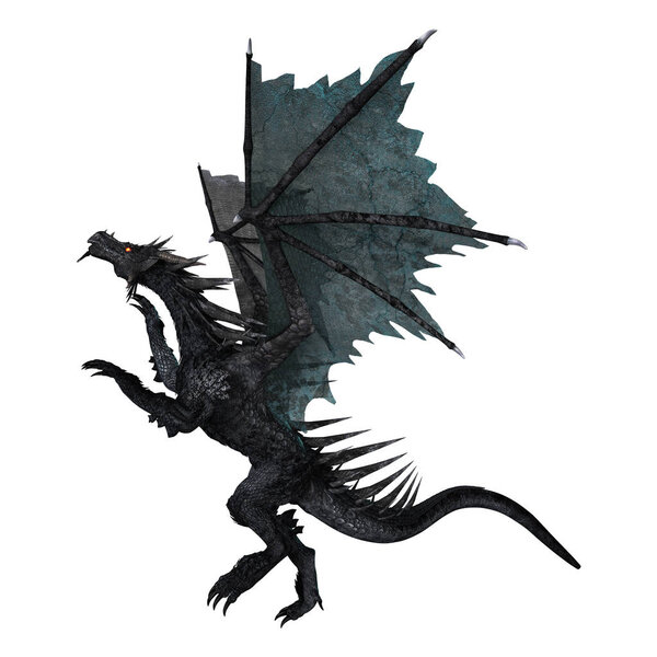 3D Rendering Fantasy Black Dragon on White
