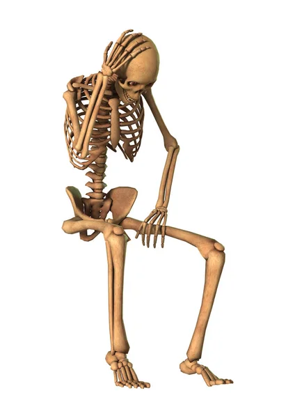 3D-Rendering menschlicher Skelette auf Weiß — Stockfoto