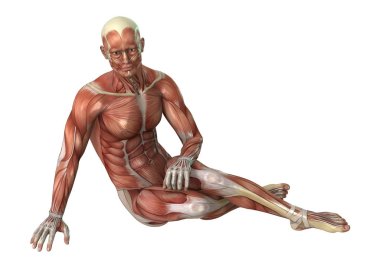 3D render erkek figürü kas haritalarda beyaz