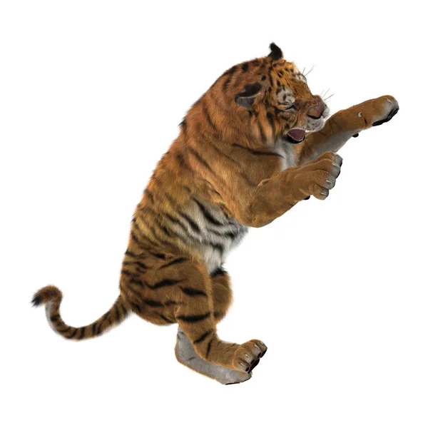 화이트에 3d 렌더링 큰 고양이 호랑이 — 스톡 사진