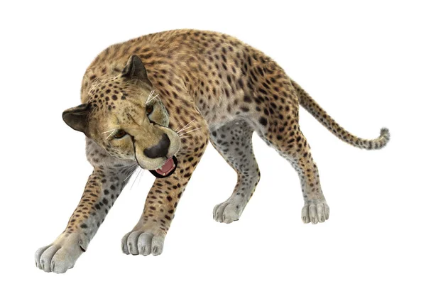 3D рендеринг гепарда на белом — стоковое фото