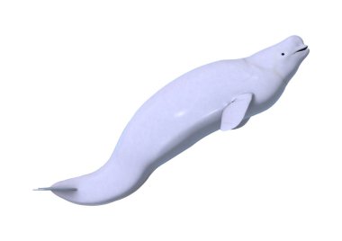 3D render beyaz beyaz balina beyaz
