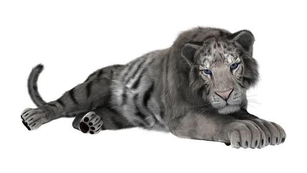 3D แสดงเสือขาวบนสีขาว — ภาพถ่ายสต็อก