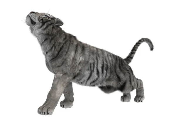 3D rendering άσπρη τίγρη σε λευκό — Φωτογραφία Αρχείου