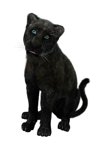 3D Rendering Black Panther on White — Stock Photo, Image