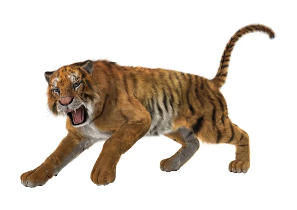 화이트에 3d 렌더링 큰 고양이 호랑이 — 스톡 사진