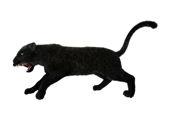 3D Illustration Schwarzer Panther auf Weiß — Stockfoto