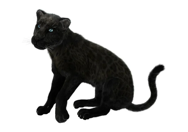 3D Rendering Black Panther on White — Stock Photo, Image