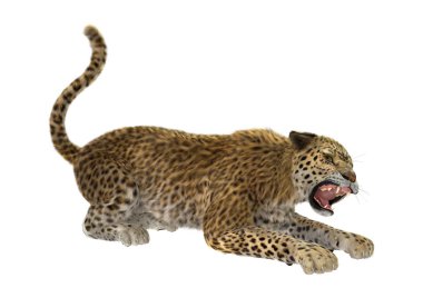 3D render büyük kedi Leopard üzerinde beyaz