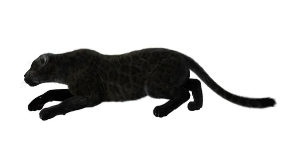 3D Rendering Black Panther on White — Stock Photo, Image