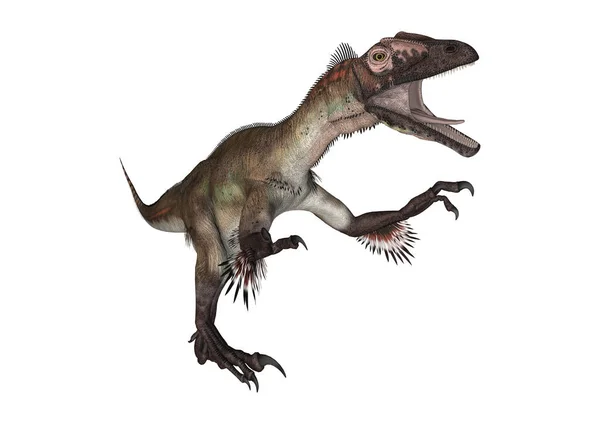 3D Representación de dinosaurio Utahraptor en blanco — Foto de Stock