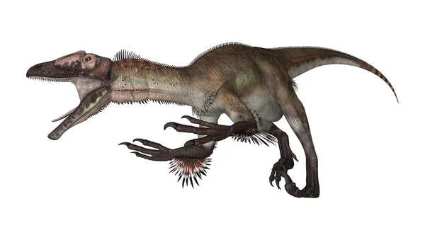 3D rendering dinoszaurusz Utahraptor fehér — Stock Fotó