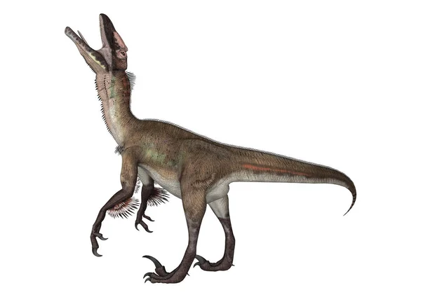 3D Rendering Dinosaurier utahraptor auf weiß — Stockfoto