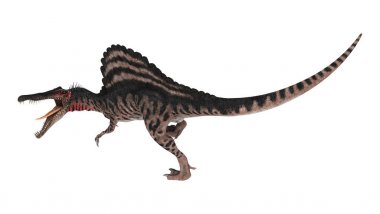 3D render dinozor Spinosaurus beyaz