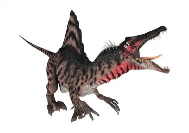 3D render dinozor Spinosaurus beyaz