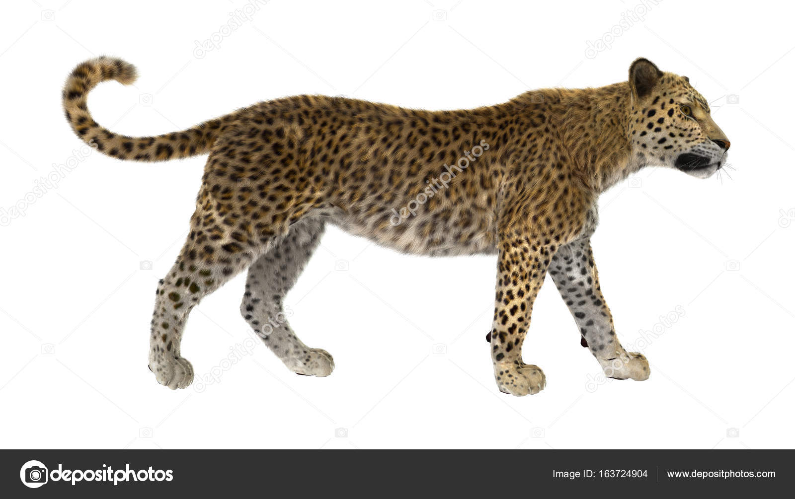 Digitally rendered big wild cat, red tiger, 3D Illustration Stock Photo -  Alamy