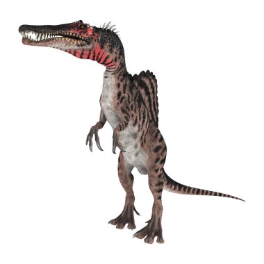 3D render dinozor Spinosaurus beyaz
