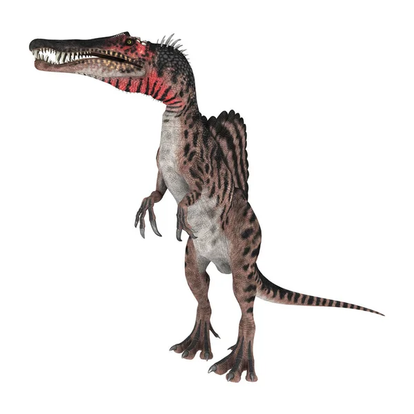 Representación en 3D del dinosaurio Spinosaurus en blanco — Foto de Stock