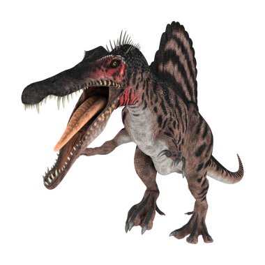 3D render dinozor Spinosaurus beyaz