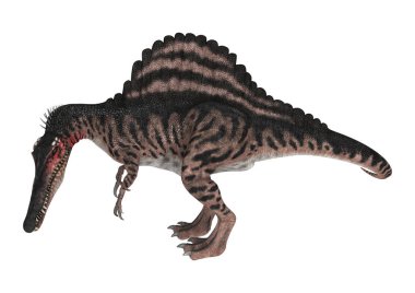 3D render dinozor Spinosaurus beyaz