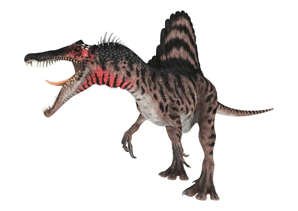 Representación en 3D del dinosaurio Spinosaurus en blanco — Foto de Stock