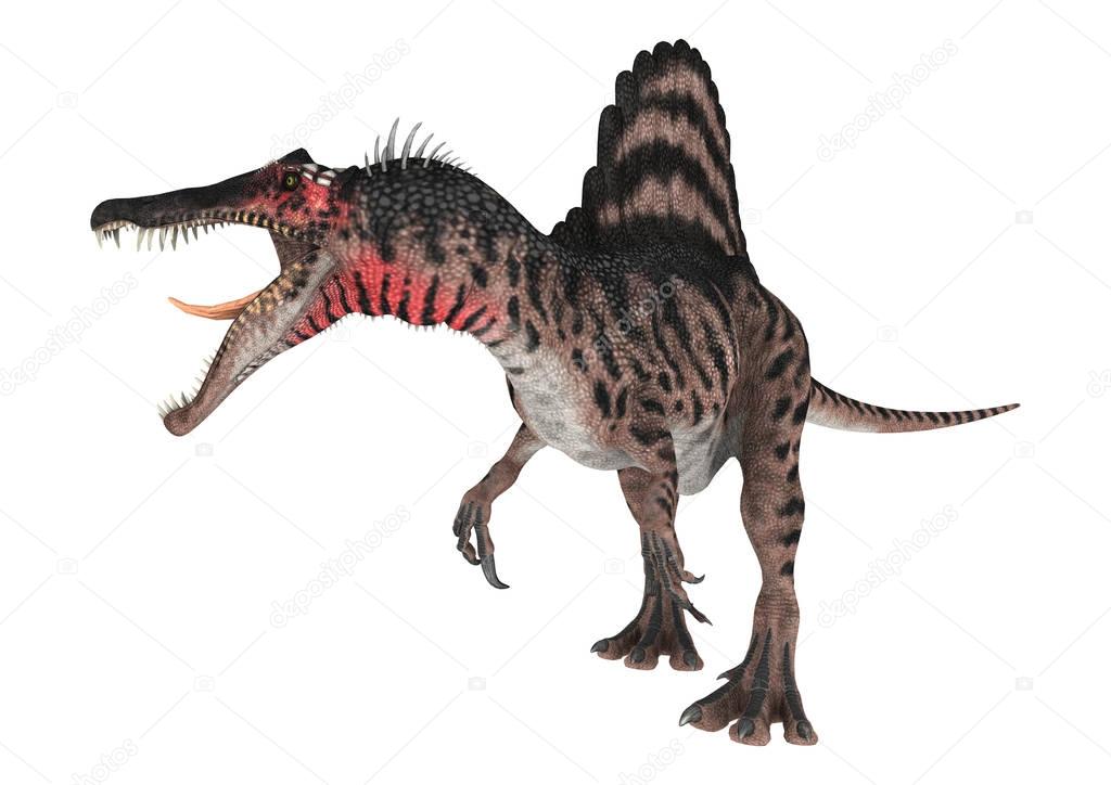3D Rendering Dinosaur Spinosaurus on White