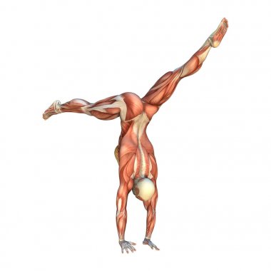 3D render kas haritalar