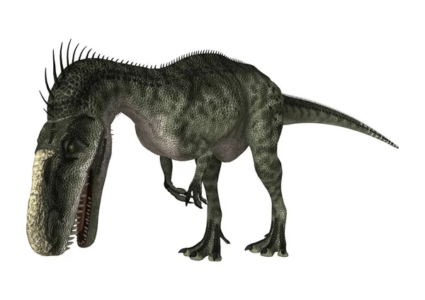3D render dinozor Monolophosaurus beyaz — Stok fotoğraf