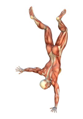 3D render kas haritalar