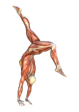 3D render kas haritalar