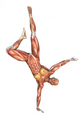 3D render kas haritalar