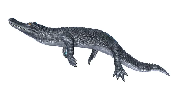3D rendering Alligator kajman på vit — Stockfoto