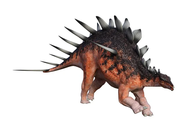 3D Rendering Dinosaur Kentrosaurus on White — Stock Photo, Image