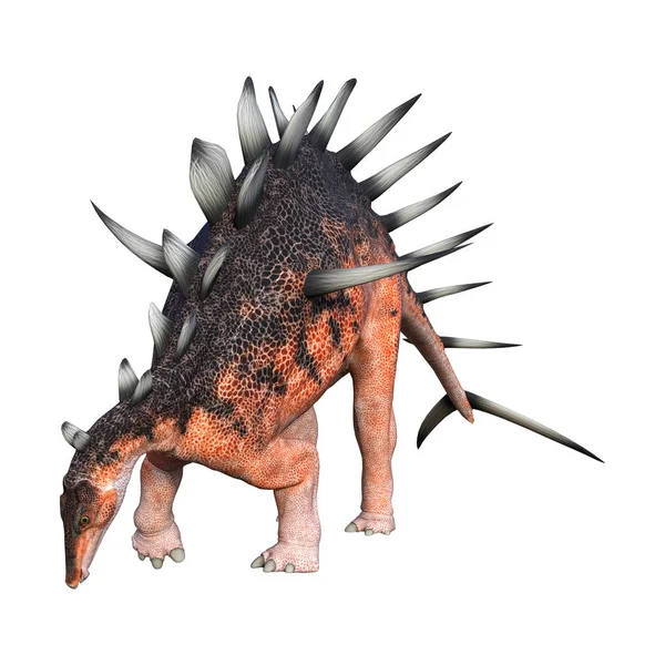 3D Rendering Dinosaurier kentrosaurus auf weiß — Stockfoto