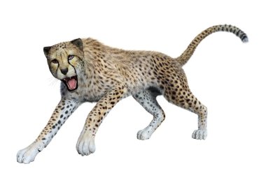 3D render büyük kedi Cheetah beyaz