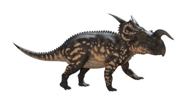 3D render dinozor Einiosaurus beyaz