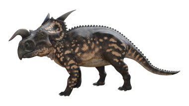 3D render dinozor Einiosaurus beyaz