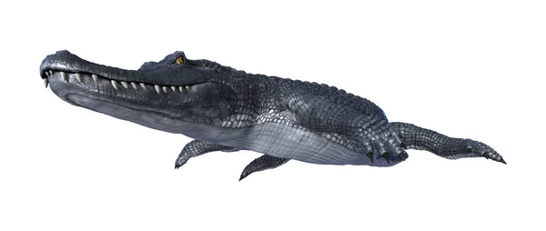 3D-рендеринг аллигатора Кеймана на белом — стоковое фото