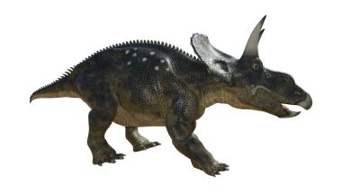 3D render dinozor Diceratops beyaz