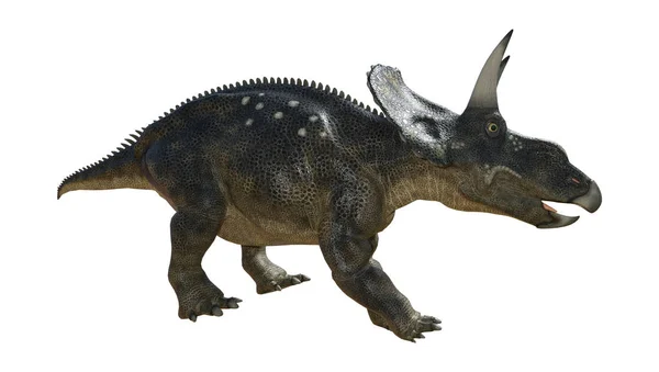 3D Rendering Dinosaurier Diceratops auf Weiß — Stockfoto