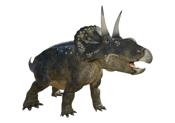 白の 3 d のレンダリング恐竜 Diceratops — ストック写真