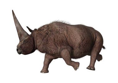 3D render gergedan Elasmotherium beyaz