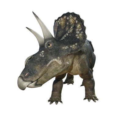 3D render dinozor Diceratops beyaz