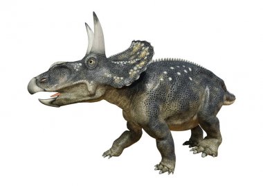 3D render dinozor Diceratops beyaz