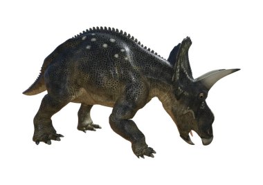 3D render dinozor Diceratops beyaz