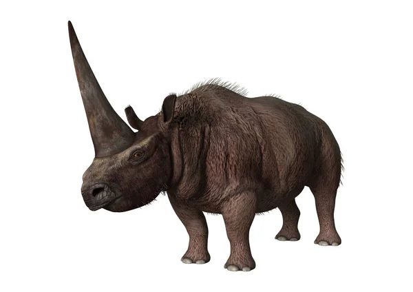 Renderização 3D Rhinoceros Elasmotherium em Branco — Fotografia de Stock