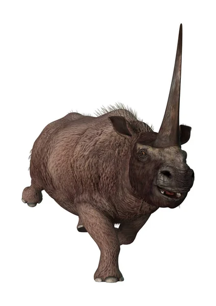 Representación 3D Rhinoceros Elasmotherium en Blanco — Foto de Stock