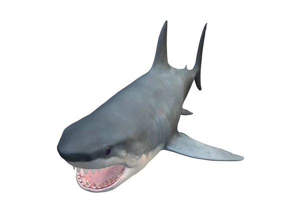 3D-Rendering Megalodon Shark på vitt — Stockfoto